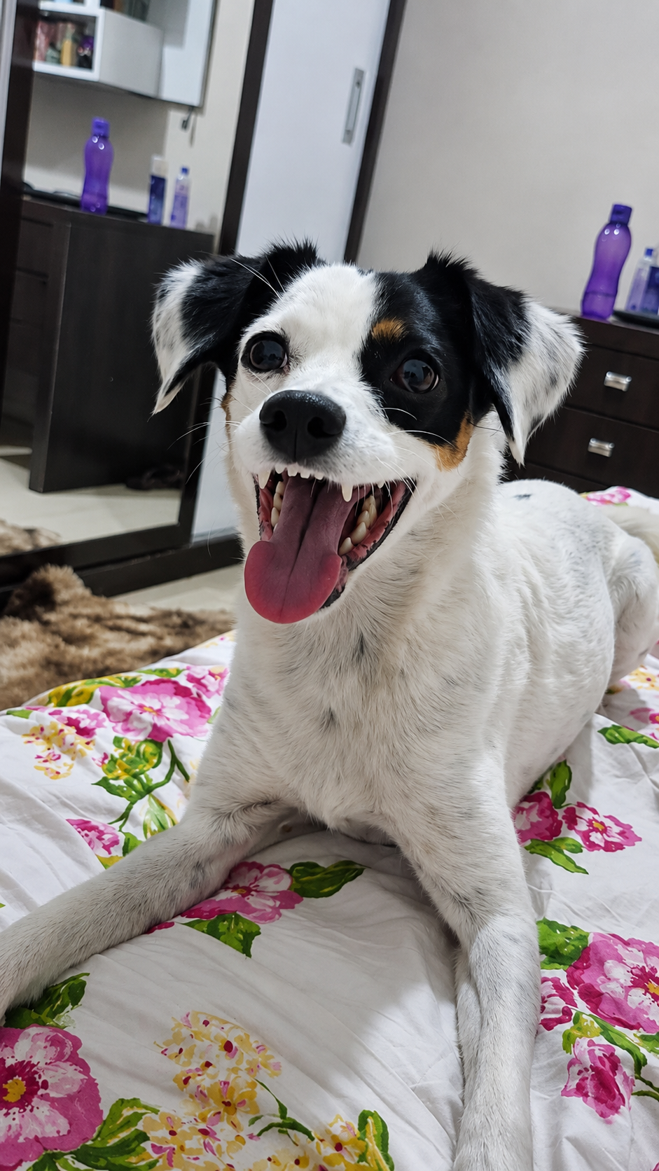 Foto de Aila